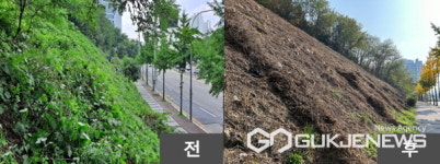 용인시 기흥구, 구갈·서천동 녹지 2곳 황폐화 방지 위해 칡덩굴 제거