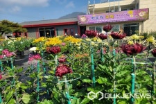 옥천군 청산면 백운리, 2회 국화축제 성료
