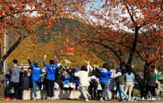 경주시, 3~6일까지 전국 초등 축구 최강자 가린다