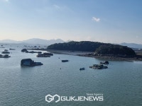 굿바이 마량놀토수산시장, 내년 봄에 다시 만나요!