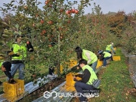 농협중앙회 농업농촌지원본부, 수확기 일손돕기 구슬땀