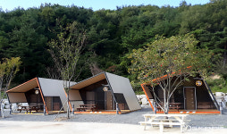 영천 별빛야영장, 문체부 2023년 공공 우수 야영장 선정