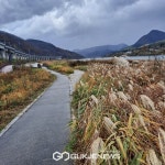 [포토] 가을 억새의 축억, 북한강 강변길