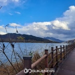 [포토] 가을 억새의 축억, 북한강 강변길