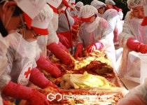 대한적십자사 서울지사, 사랑의 김장나눔 봉사