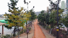 창원시, 3·15해양누리공원 맨발 황톳길 시범 조성·운영
