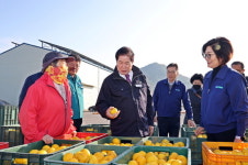 고흥군, 비타민C 책임지는 고흥 유자