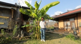 구해줘 홈즈 1인가구 위한 동대문 전농동·서대문 천연동 매물소개