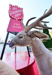 [국제포토] 사랑의 종소리 울려라
