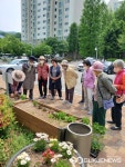 용인시, 채소 가꾸며 이웃 정 나눠요... 텃밭 체험 인기