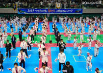 영천시, 2023 대한민국 독도수호 태권도대회 성료