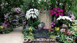 따뜻한 크리스마스!…서울식물원은 꽃의 향연