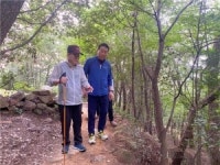 부산 동구, 구봉산 치유숲길 노후 나무난간길 정비...내년 2월 준공 예정