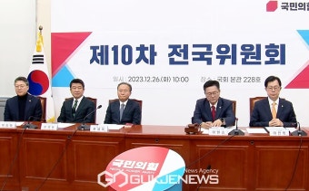 국민의힘 전국위, 한동훈 비대위원장 의결