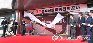 [포토] 갑진년 대구농수산물유통관리공사 출범 알리는 홍준표 대구광역시장