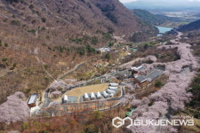 숲의 가치를 담은 보물 월아산 숲속의 진주를 소개합니다