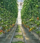 장수군, 겨울철 월동작물 재배 환경관리 당부