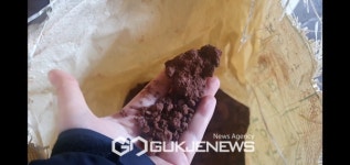 제주보존자원 화산송이 불법 매매업자 2명 덜미