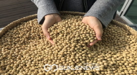 영주시 벼 특수미, 밭작물 종자 신청하세요