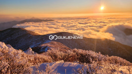 [날씨] 제주도, 전지역 비 또는 눈→하늘길, 바닷길 운항정보 확인