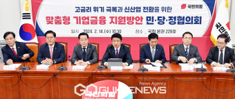 맞춤형 기업금융 지원방안 민당정협의회