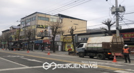 영주시, 쾌적한 가로경관 위한 봄맞이 가로수 정비