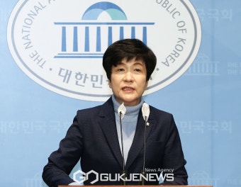 김영주 국회부의장, 민주당 탈당