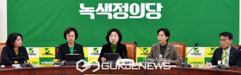 발언 하는 녹색정의당 신임 원내대표 심상정 의원