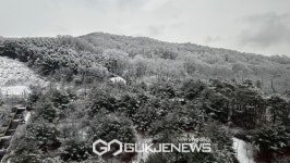 [국제포토] 눈 덮인 천안 봉서산 풍경
