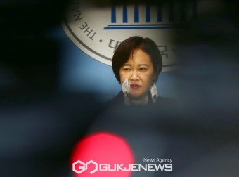 이수진, 민주당 전격 탈당…