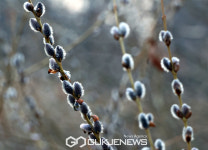북한날씨, 평양 10도 초봄날씨 백두산 0도