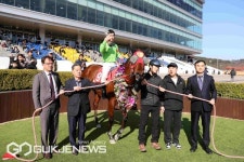 렛츠런파크 부경, 4세마 '라온더포인트' 부산일보배 우승 차지