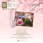 SY프랜차이즈 리조트 유메모리 벚꽃 시즌 맞아 패키지 이벤트 진행