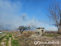 경남 사천 궁지동 제방 갈대서 들불 발생...인명 피해 없어