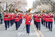 꽃바람과 노닐다…영등포구, 제18회 여의도 봄꽃 축제 개최