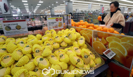 아보카도·망고·오렌지 등 수입과일이 진열 돼 있는 한 마트