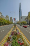 송파에 봄 왔다! 송파구 곳곳에 데이지, 팬지 등 봄꽃 식재