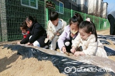 청주 수성초등학교병설유치원, 감자심기 행사 가져