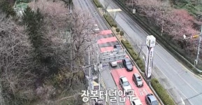 진해군항제 실시간 개화상황과 교통상황...24일 행사일정은?