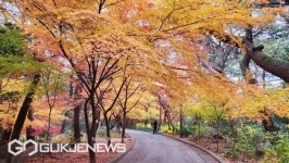 부산시설공단, 금강공원 숲길 네이밍 공모