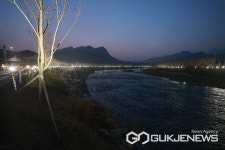 영동 황간면주민자치위원회, 벚꽃길 야간조명 점등 행사 가져