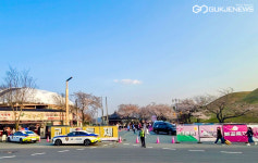 경주署, 대릉원 벚꽃 돌담길 축제 스마트 교통관리 실시