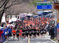 벚꽃 향 가득한 봄, 영천댐 벚꽃100리길 마라톤대회 성료
