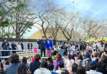 경주 대릉원돌담길 벚꽃축제 성료…사흘간 14만명 다녀가