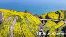 [포토] 꽃피는 마을 남해군=화전(花田)