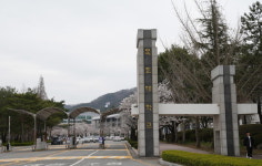 목포대학교 전남도, 의대 신설 정책적 결정 해야