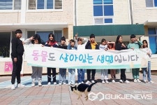 영동 부용초등학교, 고양이 동아리 활동 눈길