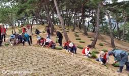 영천시 공원관리사업소, 화룡공원…약용식물 식재로 새 단장