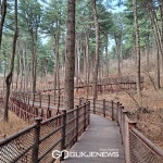 축령산, 잣향기푸른숲