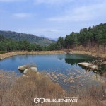 축령산, 잣향기푸른숲
